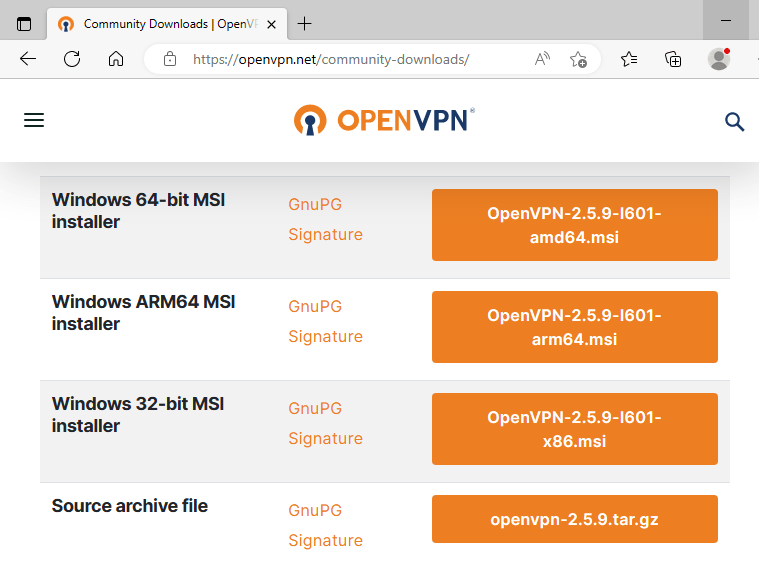 Download OpenVPN client